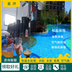 景观水处理设备 鱼池 人工湖 温泉酒店 游泳池过滤循环系统