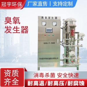 氧气源臭氧发生器水冷型带气源和冷却系统厂家直销可定制