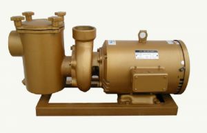 BP系列10HP铜泵/水泵/循环泵