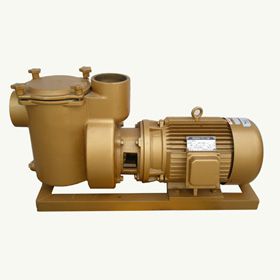BP系列15HP铜泵/水泵/循环泵