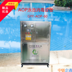 AOP泳池水消毒设备GYY-AOP-60 公共泳池消毒