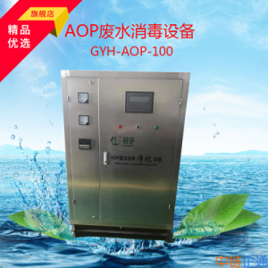 河道治理设备GY-AOP-100冠宇环保AOP污水消毒设备