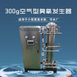 生活污水专用空气源臭氧发生器+不锈钢+GCK-300