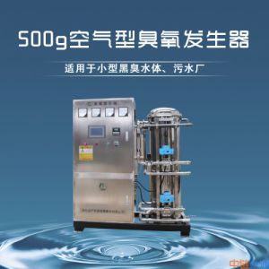 500g水冷空气源臭氧发生器污水用