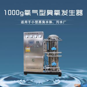1000g水冷氧气源臭氧发生器污水用