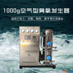 1000g水冷空气源臭氧发生器废水用