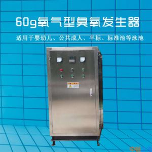 商业泳池工程项目臭氧发生器不锈钢XGY-Y-100g