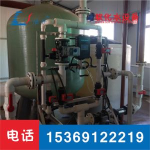 50t/h 钠离子交换器 软水除水垢设备