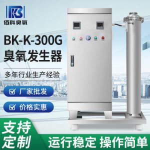 臭氧发生器 BK-K-300g污水处理设备 游泳馆生活饮水臭氧消毒机