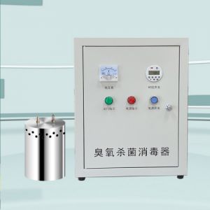 水箱自洁消毒器WTS-2A内置式外置式臭氧发生器水池处理器供水净水