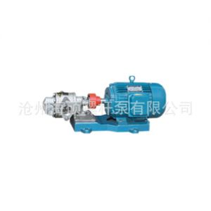 销售 KCB齿轮泵18.3-83.3不锈钢防爆齿轮泵铸铁齿轮泵 定制