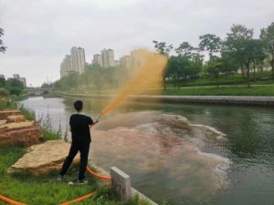 黑臭水体治理 微生物菌剂河湖修复 生物净水剂 改善水体生态环境