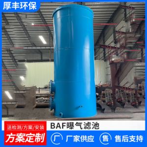BAF曝气生物滤池城市污水处理设备厌氧塔baf储罐IC内循环厌氧罐