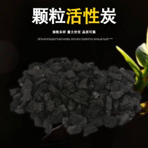 煤质果壳颗粒活性炭 水处理专用净水净气 活性炭 去甲醛厂家现货