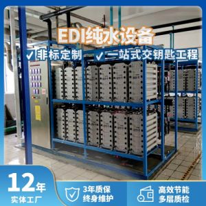 工业EDI纯水设备 EDI双级反渗透水处理系统 工业一体化超纯水装置