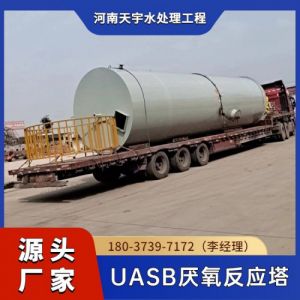 厌氧反应器污水处理设备 UASB工艺高浓度有机废水厌氧塔