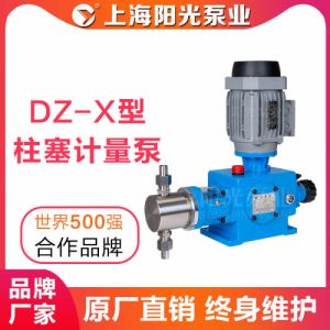 【定制】DZ-X型柱塞式计量泵不锈钢柱塞计量泵可定做
