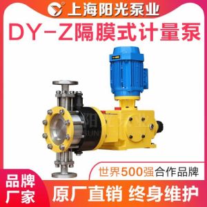 DY-Z型液压隔膜式计量泵高压计量泵耐腐蚀计量泵型号