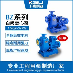 自吸泵BZ直联式铸铁抽水机稳定耐用强劲离心泵