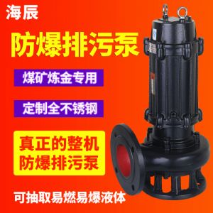 防爆铸铁排污泵 化工工业防爆潜水排污泵BT4移动式煤矿防爆排污泵