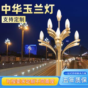 LED玉兰灯批发市政道路景观灯景区广场电工程照明灯中华灯8叉9火