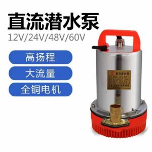 直流电瓶泵小型家用抽水泵电瓶车电动车抽水泵12V24V48V60V高扬程