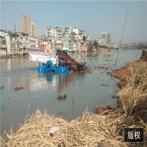 河道水花生打捞船 广西水浮莲清理船设备 水面清理水草机械