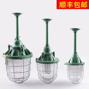 蓝欣LED防爆灯隔爆型车间工厂房照明灯仓库灯防爆型灯罩加油站灯