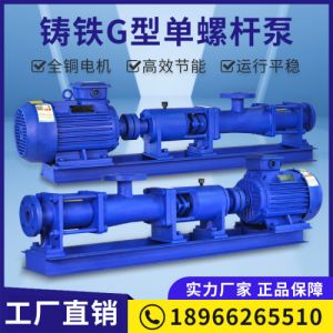 G型螺杆污泥泵加药泵螺旋污水泵叠螺机泵高压进料泵 G型螺杆泵