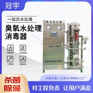 冠宇200克氧气型臭氧发生器 水产废水污水脱色除COD 可定制