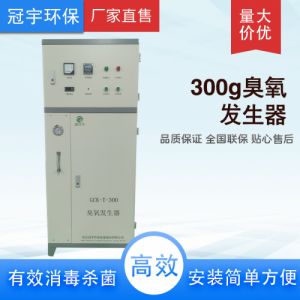 氧气源臭氧发生器在脱色降解COD高效厂家定制直销