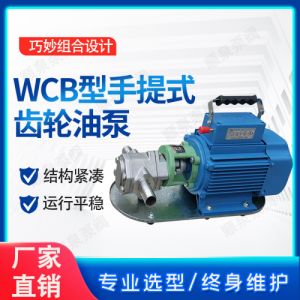 WCB手提泵 不锈钢自吸齿轮油泵 便携式柴油输送泵 支持定制
