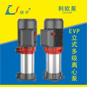利欧EVP系列水处理行业用泵