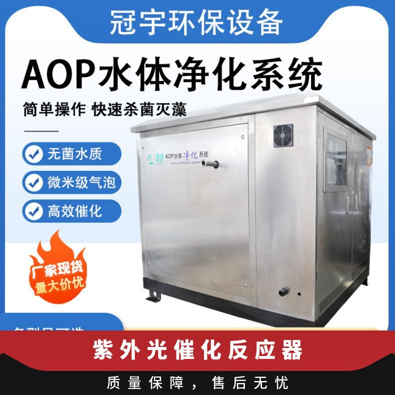 鑫冠宇紫外光催化杀菌设备进口灯管高强度灭菌双氧水+UV处理