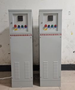 检验科微生物排气灭菌箱 生物安全柜真空泵灭菌装置 