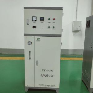 小型水处理臭氧发生器设备50g空气源 冠宇厂家可订制