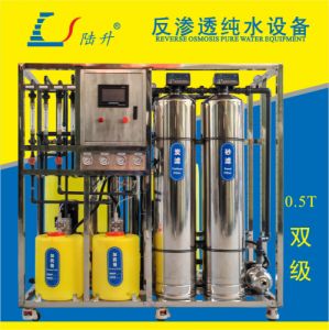 陆升0.5吨/小时双级反渗透超纯水设备